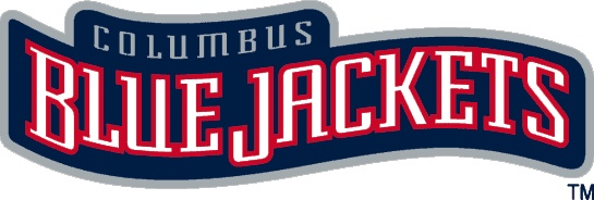 Columbus Blue Jackets 2000-2007 Wordmark Logo iron on heat transfer